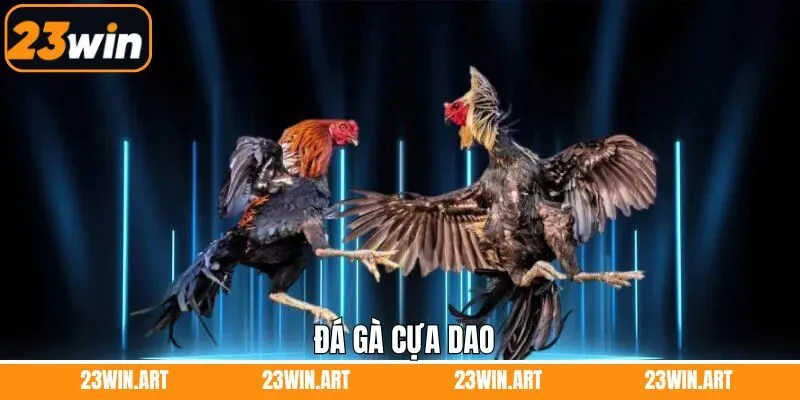 Đá Gà Cựa Dao - Sân Chơi Đầy Kịch Tính Diễn Ra Tại 23Win