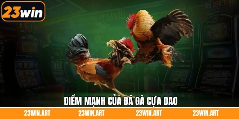 Những ưu điểm nổi bật làm nên sức hút cho chọi kê cựa dao