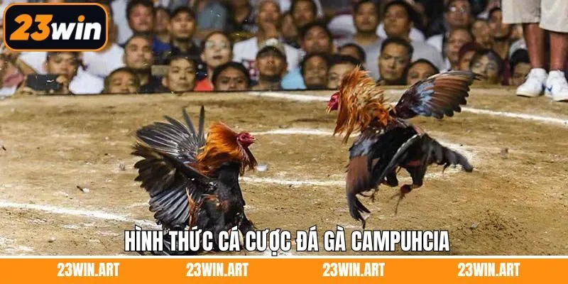 Hình thức đặt kèo đá gà thường gặp tại nhà cái 23WIN