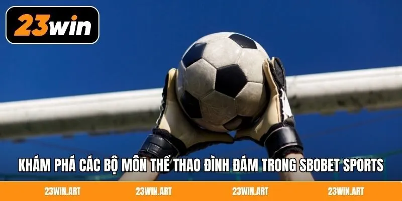 Khám phá các bộ môn thể thao đình đám trong Sbobet Sports