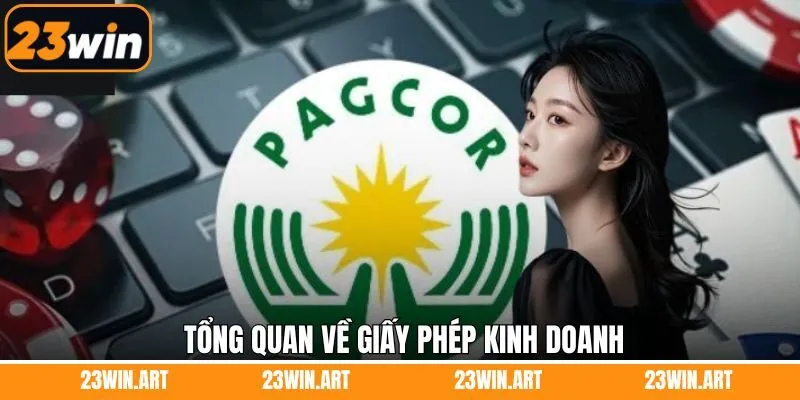 Tổng quan về giấy phép tổ chức cá cược