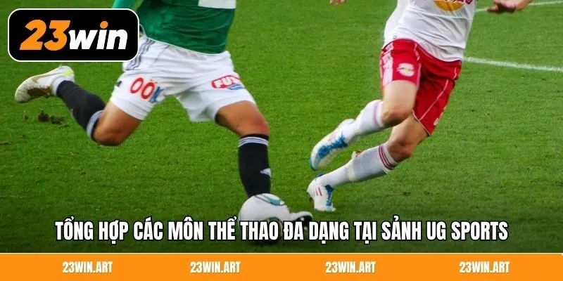 Tổng hợp các môn thể thao đa dạng tại sảnh UG Sports