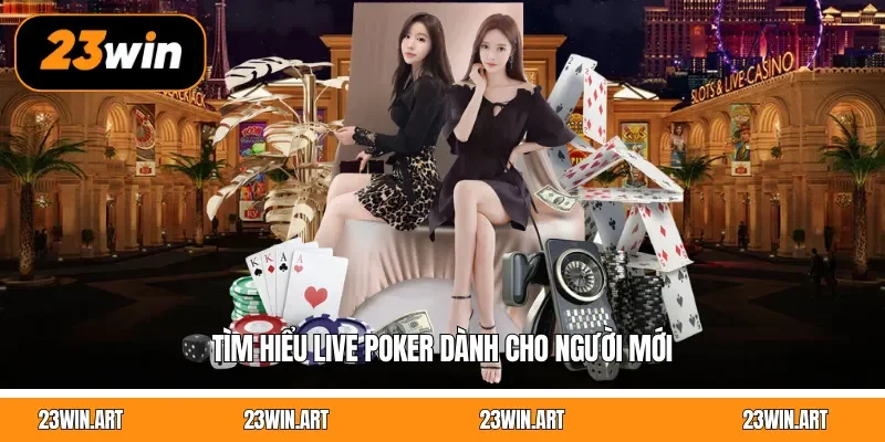 Tìm hiểu Live Poker dành cho người mới
